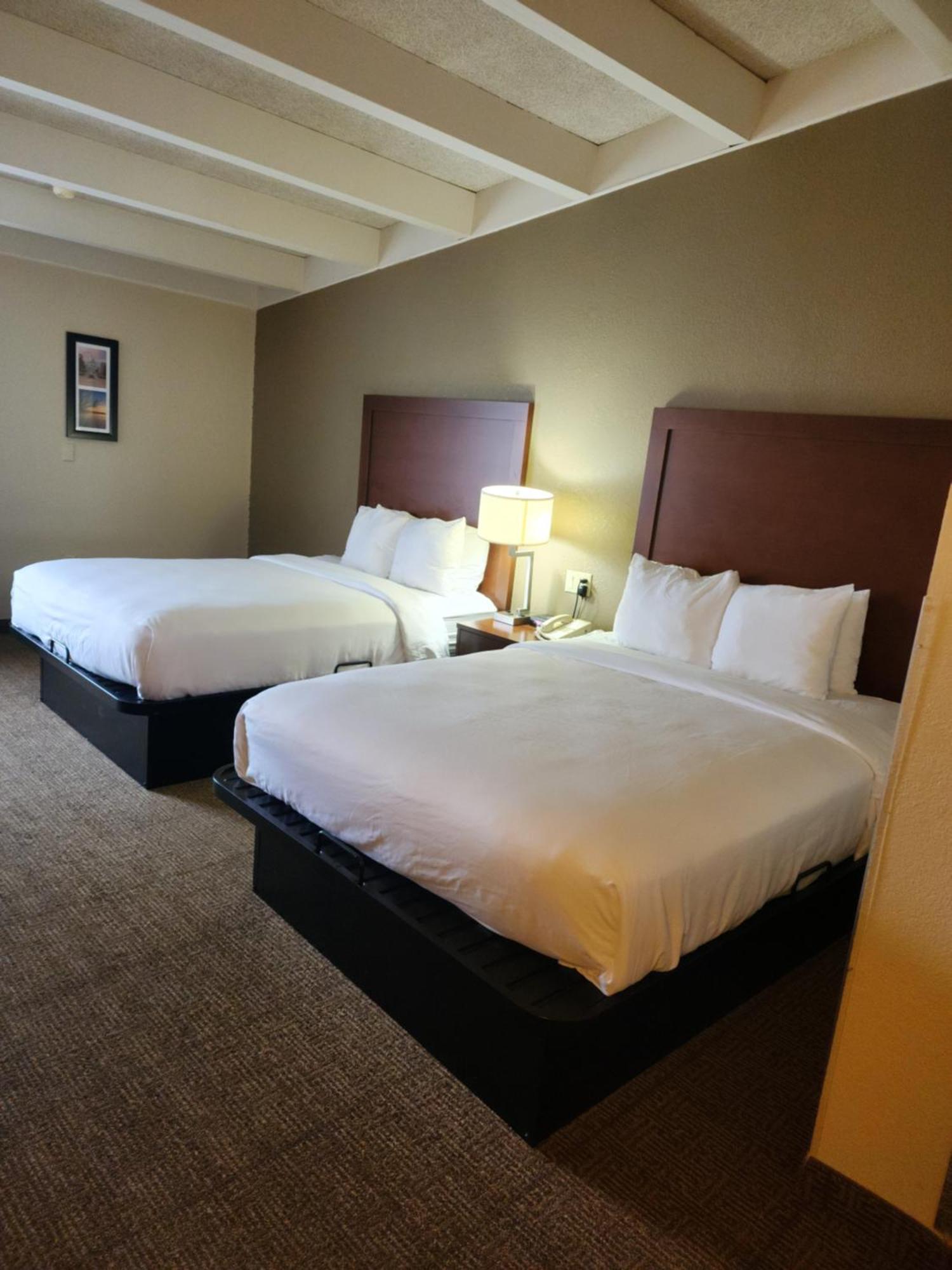 Comfort Inn & Suites Madison - Airport Ngoại thất bức ảnh