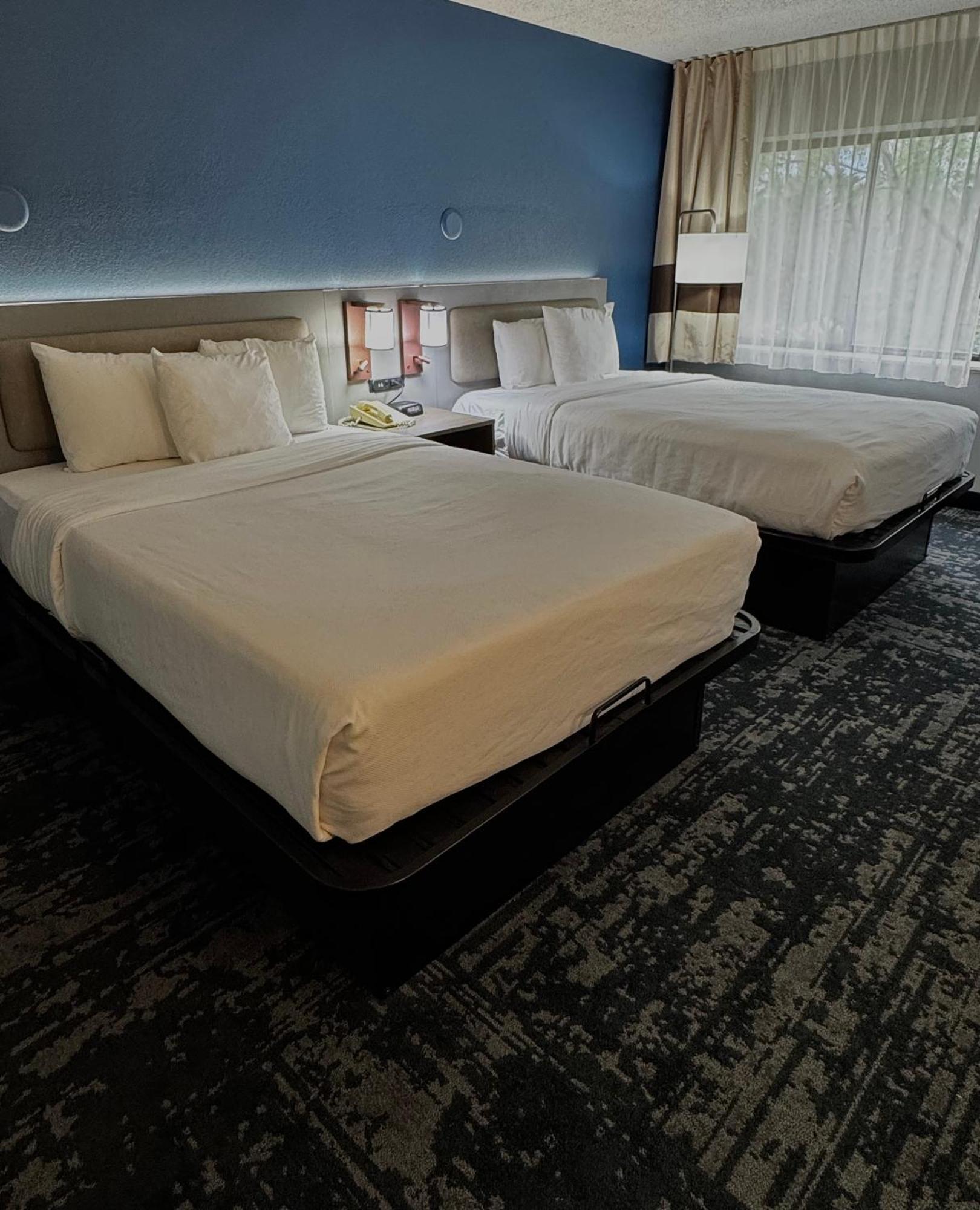 Comfort Inn & Suites Madison - Airport Ngoại thất bức ảnh